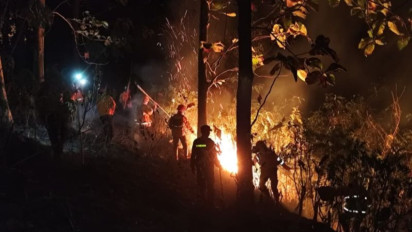 Kebakaran Lahan Pehutani di Ciamis Dipastikan Tidak Meluas