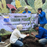 Nusa Jaya Tumbuh Bersama Gandeng PMII Hijaukan Jakarta Pusat, Tanam Pohon Mangga di Mangga Dua