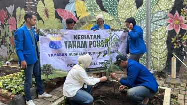 Nusa Jaya Tumbuh Bersama Gandeng PMII Hijaukan Jakarta Pusat, Tanam Pohon Mangga di Mangga Dua