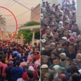 Fenomena Pohon Kurma  Ajaib  di Mojokerto Jadi Rebutan Pejuang Garis Dua, Begini Penjelasan Ilmiahnya