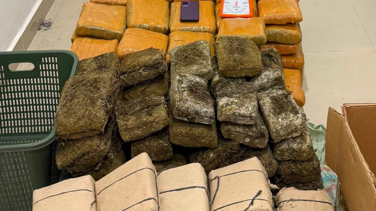 Polda Sumut Sita 169,6 Kg Ganja Asal Aceh, Tiga Orang Ditangkap di Deli Serdang
            - galeri foto