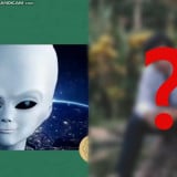 Dulu Viral Gara-gara Filter Alien, Seperti Apa Wajah Asli Imroatus "Mas Pandu Tolong Dijawab" yang Misterius?