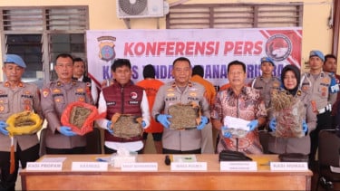 Polisi Sita 3,2 Kg Ganja di Kampus Universitas Simalungun (USI) Pematangsiantar, Tiga Tersangka Ditangkap