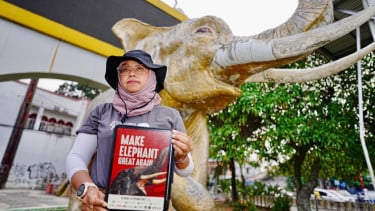 Gerakan Make Elephant Great Again, 28 Organisasi Desak Perlindungan Gajah Indonesia Diperkuat