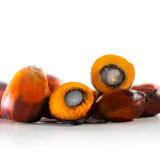 Tahukah Anda Jika Minyak Sawit Merah Memiliki Nutrisi Tinggi yang Bermanfaat Bagi Kesehatan?