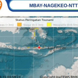 Bupati Sikka Imbau Warga Waspada Pascagempa Magnitudo 7,7