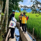Musim Tanam Tiba, Nagan Raya Manfaatkan TKD untuk Rehabilitasi Sawah Terdampak