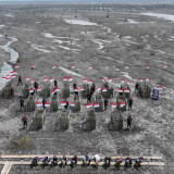 Pulihkan Wilayah Terdampak Abrasi, Ekspedisi Merah Putih Polda Riau Tanam Mangrove