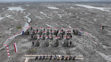 Pulihkan Wilayah Terdampak Abrasi, Ekspedisi Merah Putih Polda Riau Tanam Mangrove