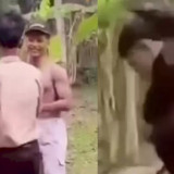 Viral Siswa SMK di Kebumen Dihajar Kakak Kelas, Ahmad Dhani Desak Polisi Bertindak Terduga Pelaku Diamankan