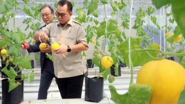 Presiden Prabowo Mulai Proyek Giant Sea Wall, BRIN Siapkan Teknologi Armor Units