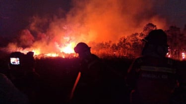 Karhutla Sumsel Capai 1.926 Hektare, Tertinggi dalam Tiga Tahun Terakhir
