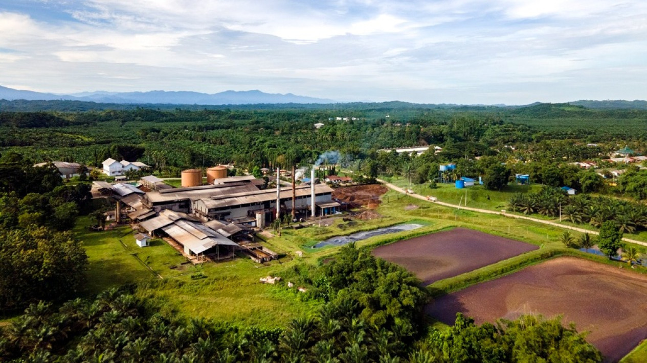Peneliti BRIN Menilai Indonesia Berpeluang Jadi Raja Biogas Sawit Dunia
            - galeri foto