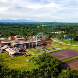 Peneliti BRIN Menilai Indonesia Berpeluang Jadi Raja Biogas Sawit Dunia