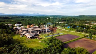 Peneliti BRIN Menilai Indonesia Berpeluang Jadi Raja Biogas Sawit Dunia