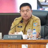 Sekjen Kemendagri Tomsi Tohir Minta Pemerintah Daerah Segera Intervensi Kenaikan Harga Beras