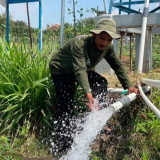 Mengubah Kemarau Menjadi Harapan, Pertamina Dampingi Petani Boyolali Bangkit dan Lebih Sejahtera