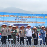 Dukung Swasembada Pangan, Muara Enim Targetkan Produksi 200 Ton Bawang Putih