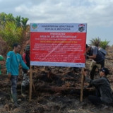 Kemenhut Segel Areal Kebakaran Hutan di Sumsel, Pemegang Izin Diperingatkan Jaga Areal Konsesi