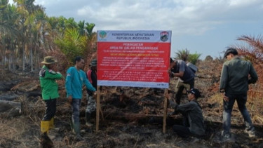 Kemenhut Segel Areal Kebakaran Hutan di Sumsel, Pemegang Izin Diperingatkan Jaga Areal Konsesi