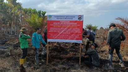 Kemenhut Segel Areal Kebakaran Hutan di Sumsel, Pemegang Izin Diperingatkan Jaga Areal Konsesi