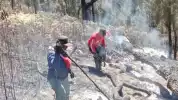 Pemerintah Perkuat Operasi Terpadu Karhutla di Kalimantan, Tambah Dukungan Udara dan Pemadaman Darat
