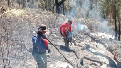 Pemerintah Perkuat Operasi Terpadu Karhutla di Kalimantan, Tambah Dukungan Udara dan Pemadaman Darat