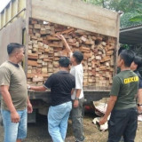 Amankan Truk Kayu Ilegal, Kemenhut Telusuri Pemasok Hingga Penerima