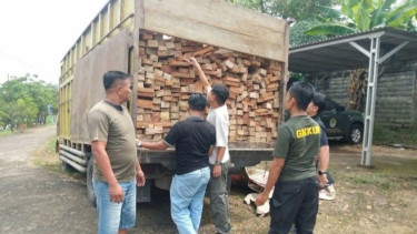 Amankan Truk Kayu Ilegal, Kemenhut Telusuri Pemasok Hingga Penerima