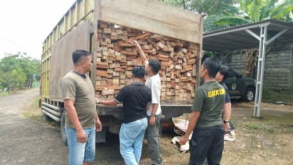 Amankan Truk Kayu Ilegal, Kemenhut Telusuri Pemasok Hingga Penerima