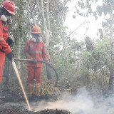 Pemerintah Intensifkan Operasi Modifikasi Cuaca Guna Tanggulangi Karhutla di Kalimantan