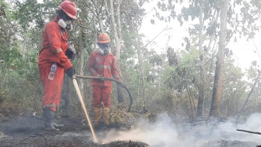 Pemerintah Intensifkan Operasi Modifikasi Cuaca Guna Tanggulangi Karhutla di Kalimantan