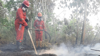 Pemerintah Intensifkan Operasi Modifikasi Cuaca Guna Tanggulangi Karhutla di Kalimantan