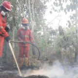 Pemerintah Optimalkan Penanganan Karhutla di Kalimantan: Kerahkan 12.880 personel hingga Buat Sumur Bor