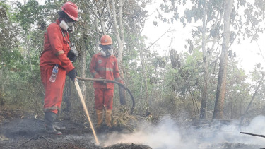 Pemerintah Optimalkan Penanganan Karhutla di Kalimantan: Kerahkan 12.880 personel hingga Buat Sumur Bor
