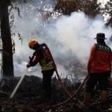 Pemerintah Diminta Lakukan Langkah Audit Menyeluruh Seiring Maraknya Karhutla
