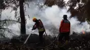 Pemerintah Diminta Lakukan Langkah Audit Menyeluruh Seiring Maraknya Karhutla
