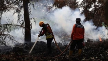 BMKG Ungkap Asap Karhutla Kalimantan Barat Berpotensi Meluas ke Negara Tetangga
