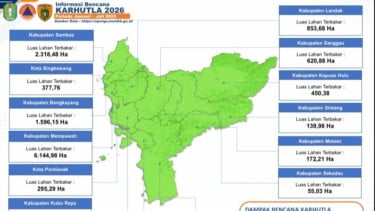 BPBD Kalimantan Barat: 38 Ribu Hektare Lahan Terbakar Sejak Januari 2026, Ketapang Jadi Wilayah Terparah