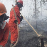 Pemerintah Kerahkan 5 Pesawat TNI AU untuk Padamkan Karhutla di Kalimantan