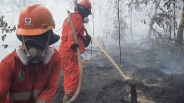 Pemerintah Kerahkan 5 Pesawat TNI AU untuk Padamkan Karhutla di Kalimantan
