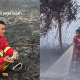 Viral! Aksi Heroik Petugas Gabungan Padamkan Karhutla di Kaltara, Dishut: Mereka Terus Berjuang