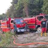 Cegah Karhutla Meluas, Lapor Jika Temukan Titik Api