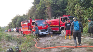 Tangani Kebakaran Hutan, BNPB Perkuat Operasi Udara di Enam Provinsi Prioritas