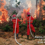 6 Provinsi di Kalimantan dan Sumatera Jadi Prioritas Penanganan Karhutla, Operasi Darat Jadi Ujung Tombak