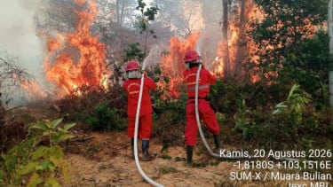 6 Provinsi di Kalimantan dan Sumatera Jadi Prioritas Penanganan Karhutla, Operasi Darat Jadi Ujung Tombak