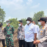 85 Ribu Hektare Lahan Konsesi di RI Terbakar, 335 Perusahaan Terindikasi Karhutla