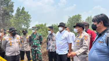 85 Ribu Hektare Lahan Konsesi di RI Terbakar, 335 Perusahaan Terindikasi Karhutla