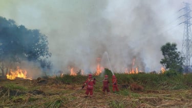 Karhutla Sumsel Capai 1.926 Hektare, Kasus Meningkat Signifikan pada Agustus