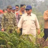 Karhutla Kalimantan Jadi Sorotan, Banyak Hotspot Terdeteksi tapi Masyarakat Diminta Tak Panik